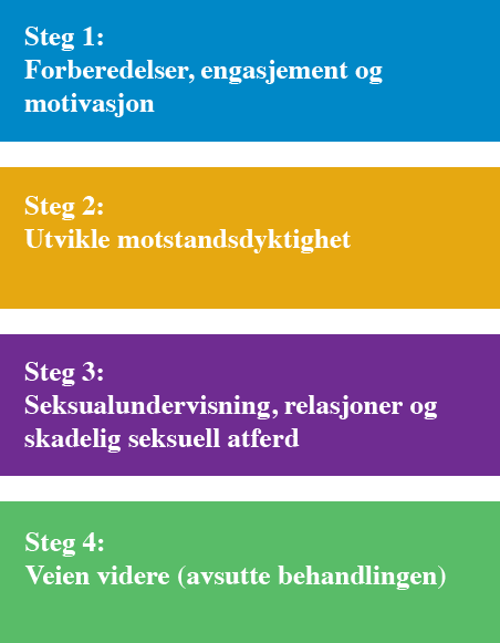 AIM behandling - 4 faser.png
