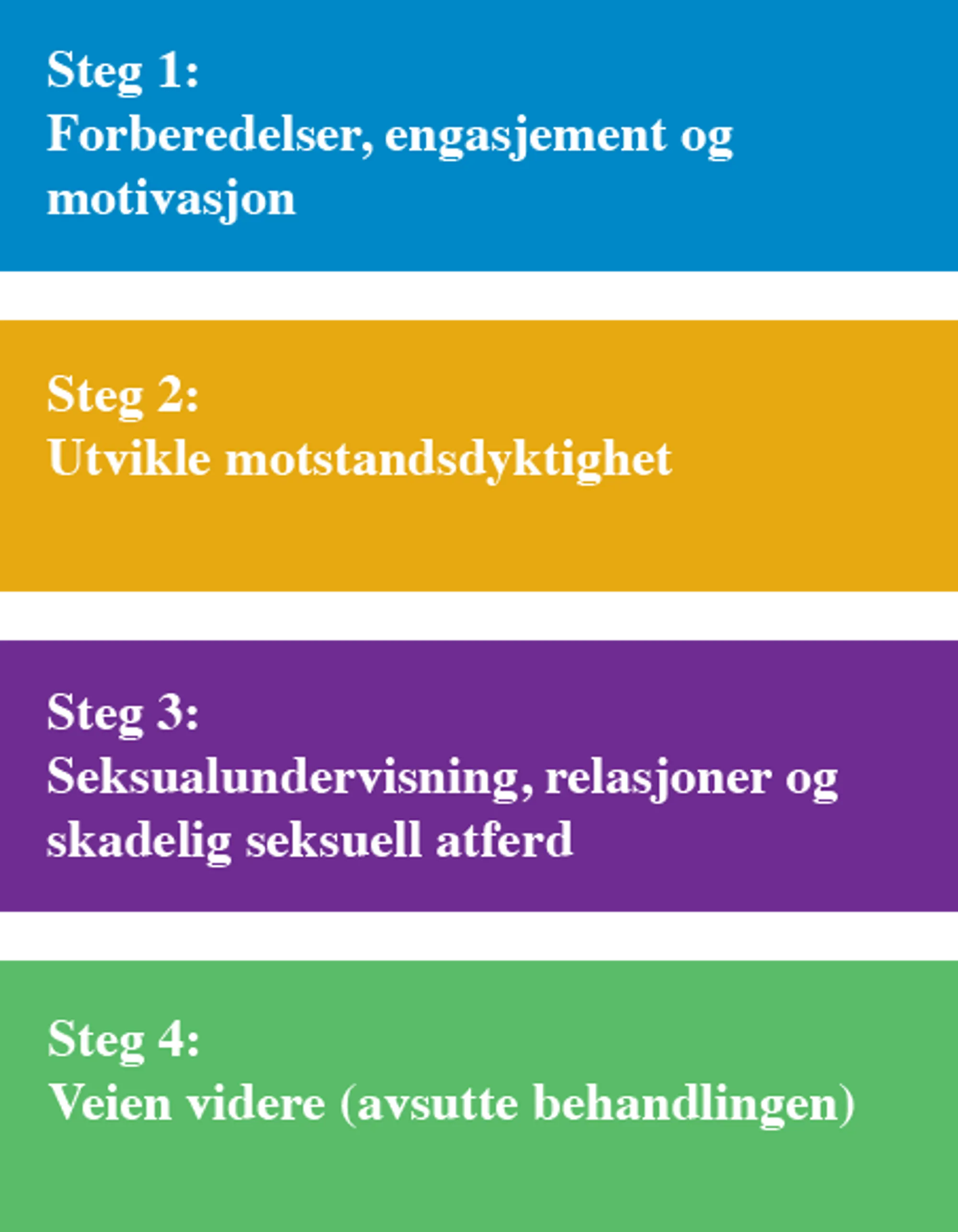 AIM behandling - 4 faser.png