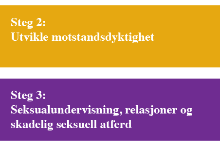 AIM behandling - 4 faser.png